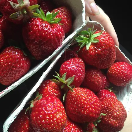 Apple Prázdninový dům Vejby