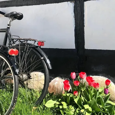 Apple Prázdninový dům *