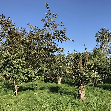 בית נופש Apple