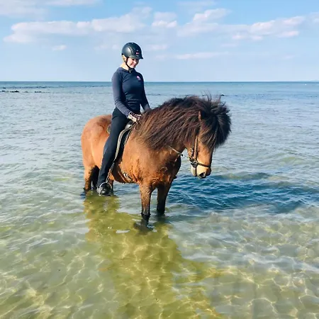 Prázdninový dům Apple *