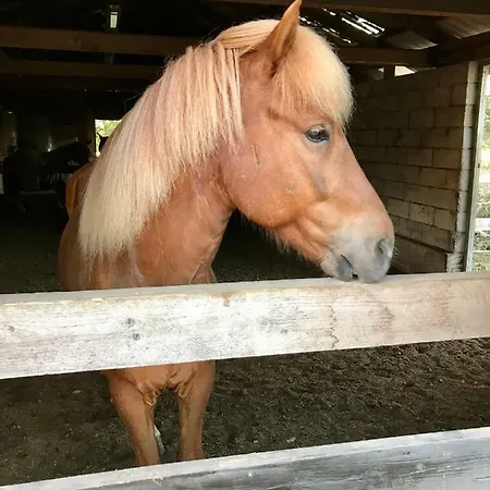 Prázdninový dům Apple *