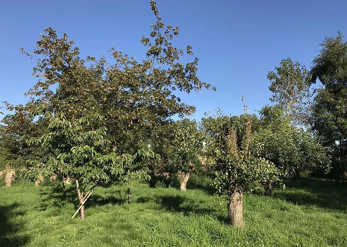 Prázdninový dům Apple