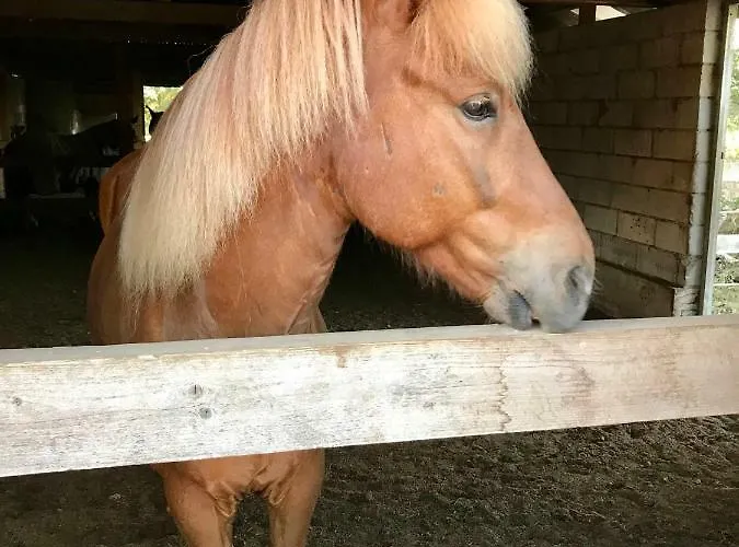 Prázdninový dům Apple *